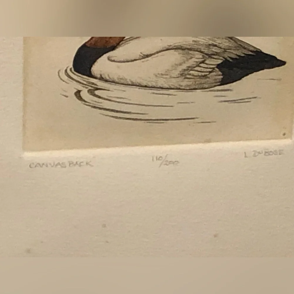 2258 Set Canvas Back /Shoveler Duck Prints by L. DuBose Signed & Numbered Framed